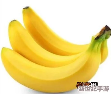 亚洲香蕉久久综合网，网友们纷纷表示这篇文章内容丰富，值得一读