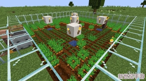 《我的世界》植物耕种深度使用技巧全面介绍与高效策略分析